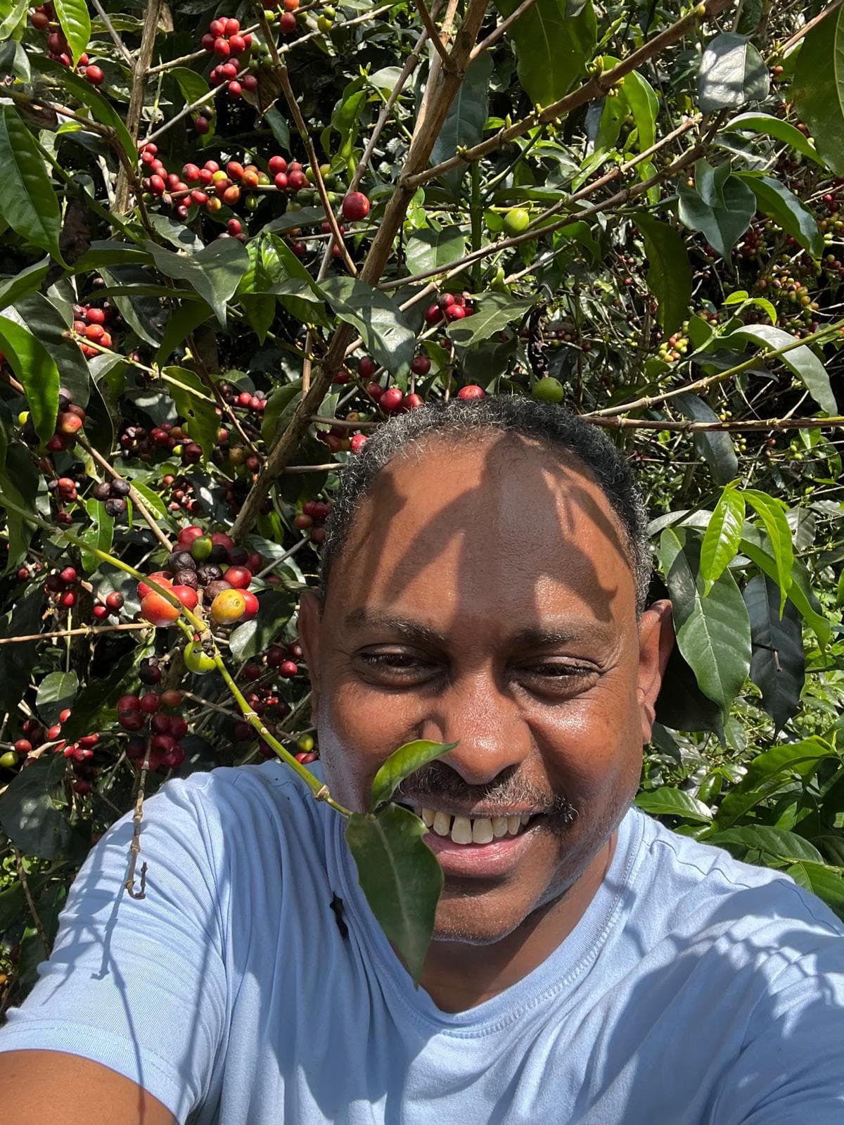 From Farm to Cup: Our Sourcing Process